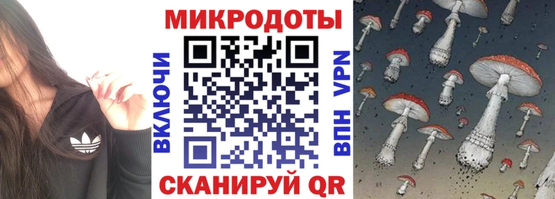 Галлюциногенные грибы Psilocybe  нарко площадка Telegram  кракен как войти  Семикаракорск  закладка 